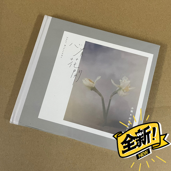 正版 小娟 山谷里的居民 心有花开 纯银版...