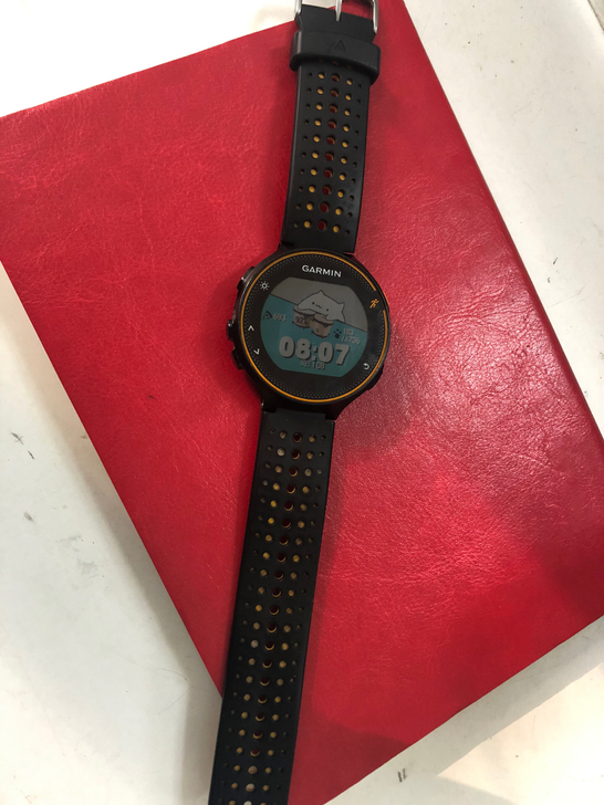 GARMIN FORERUNNER235 ...