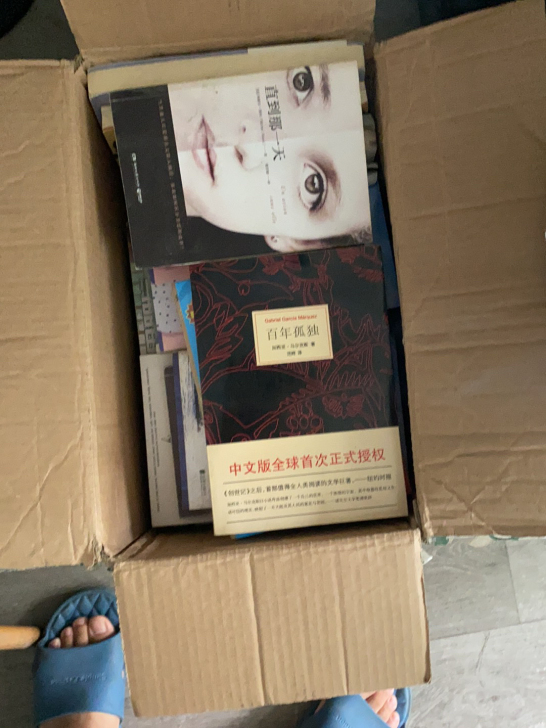 一箱课外读物，名著啥的40多本
