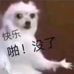 (图文无关，闲鱼违规）