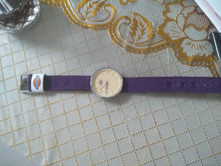 品牌型号 Dickies