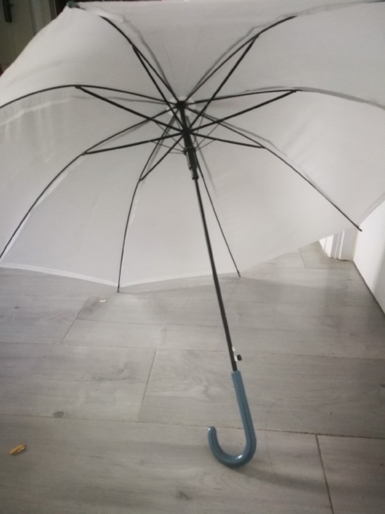 雨伞，白色，只能自提津南区，