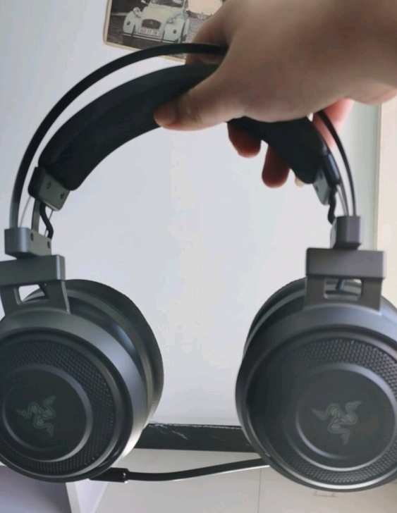 雷蛇 影鲛标准版