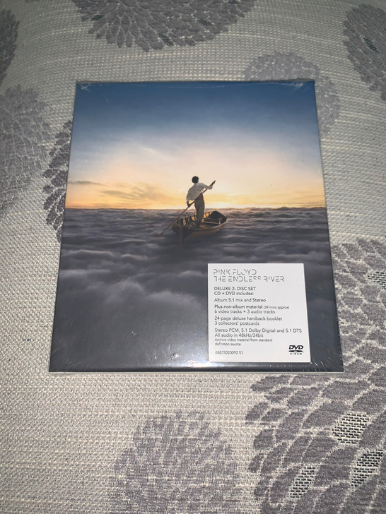 pink floyd the endles...