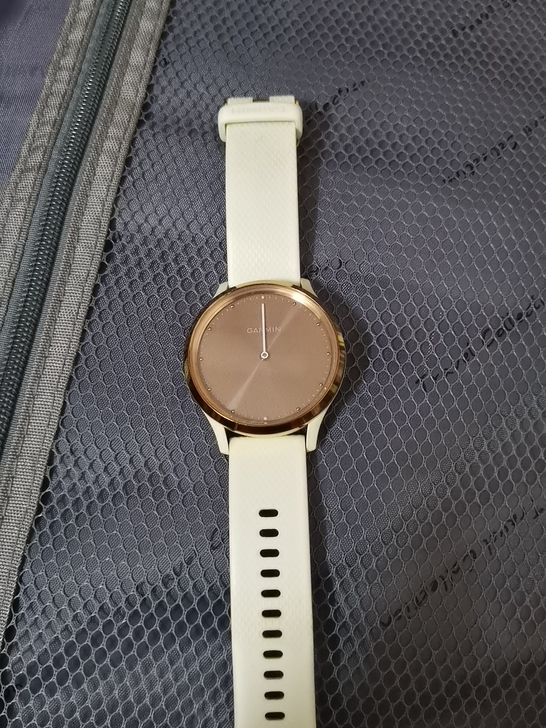 Garmin vivomove HR运动智...