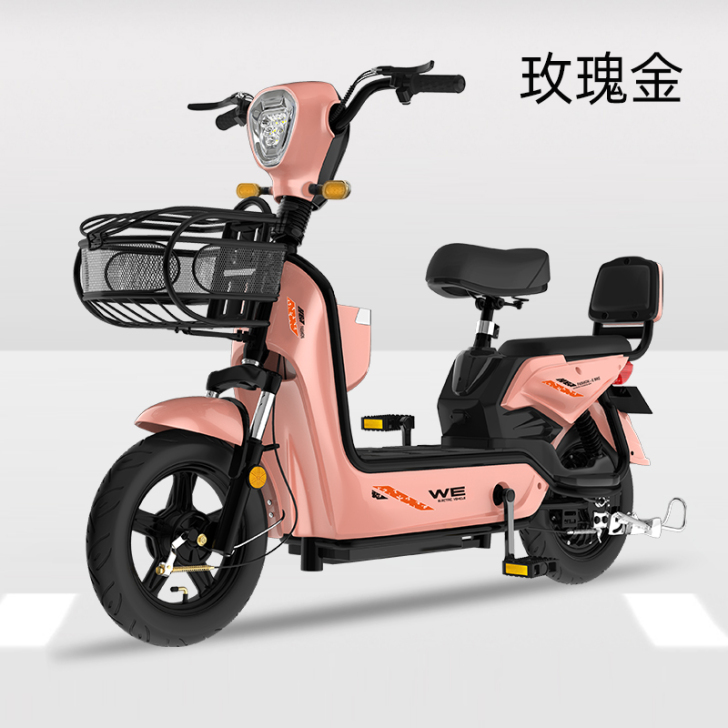 中富新国标电动车成人电动自行车48V小型电...