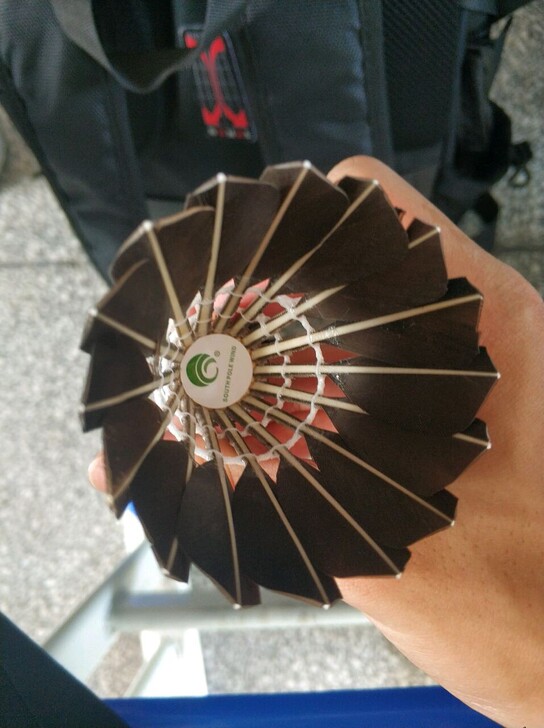 羽毛球12只装耐打不易烂稳定南极风40黑鹅...