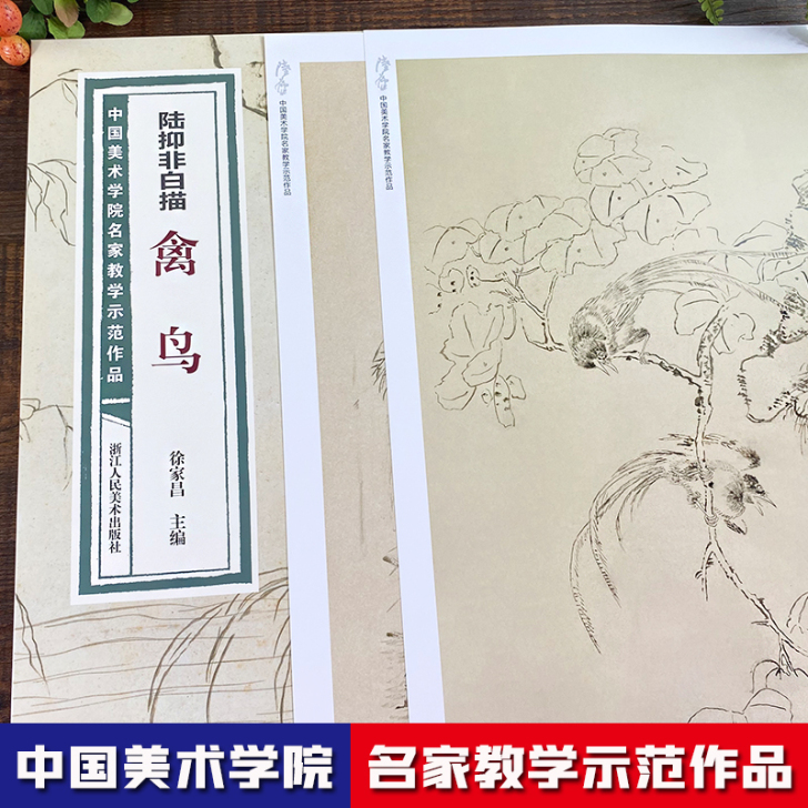 陆抑非白描禽鸟 中国美术学院名家教学示范作...