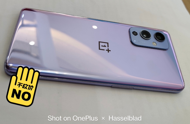 一加 OnePlus 9 120Hz 柔性...