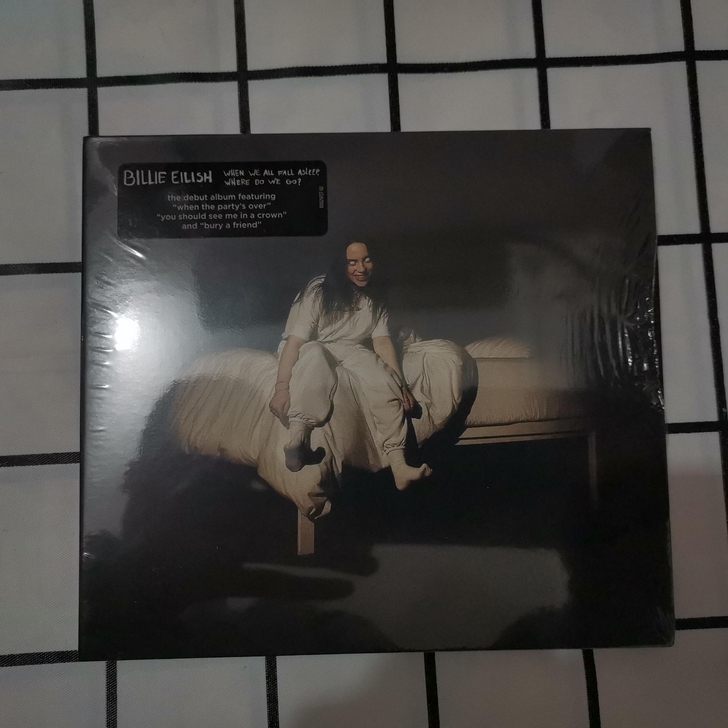 Billie Eilish When We...