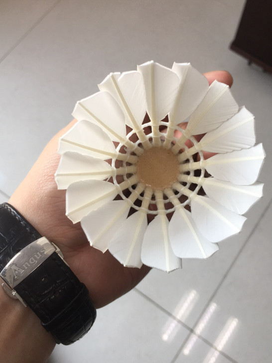品牌型号 :对标亚狮龙羽毛球亚7、亚5
