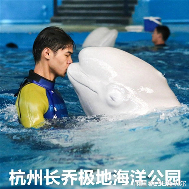 过几天要去玩所以求两张成人的票，有闲置或者...