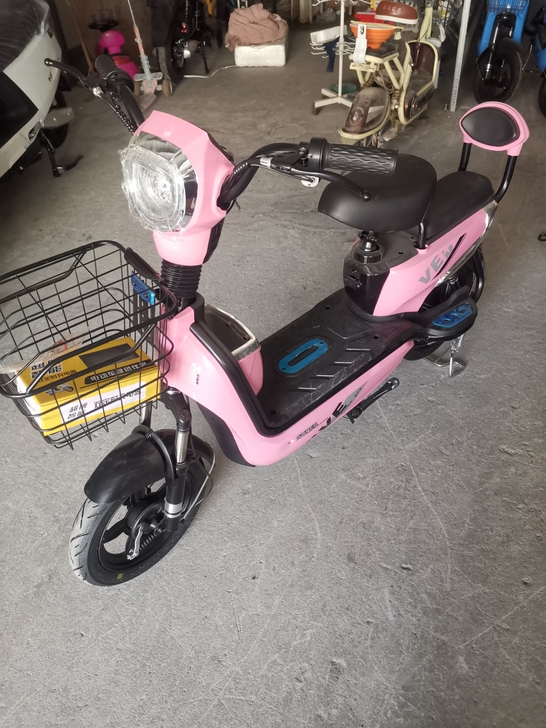 简易款电动车(全新车)