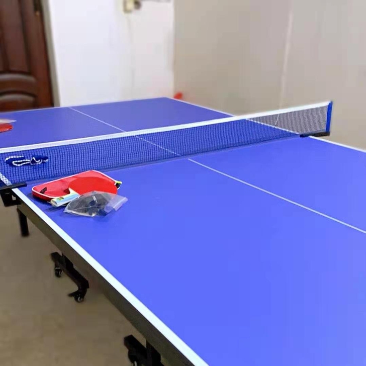 全新顺丰包邮乒乓球桌家用可折叠式标准专业比...