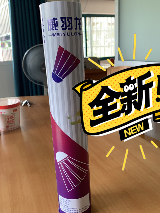 羽毛球威羽龙！这款球全新12只！适合新手打...