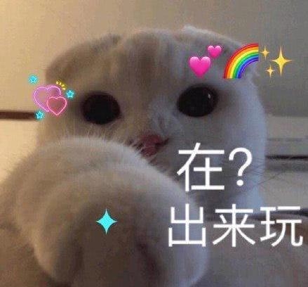 在线陪聊！本人大学生！
