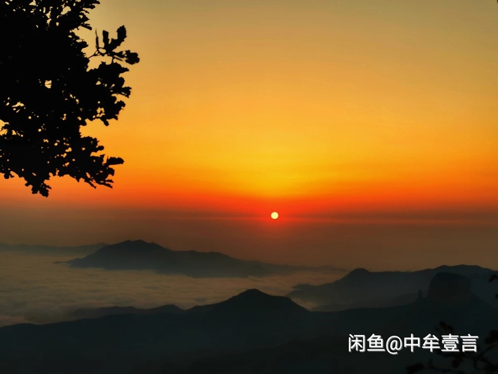 各类网站视频去水印软件