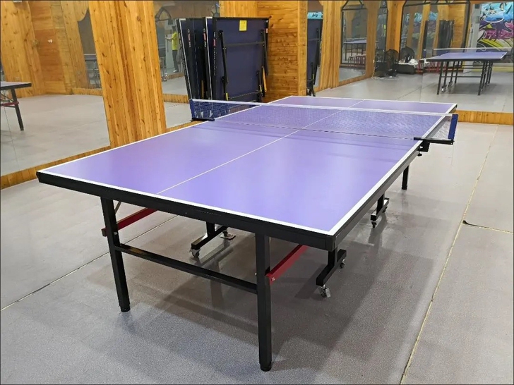 全新特价乒乓球桌球台家用轮可移动比赛专用可...