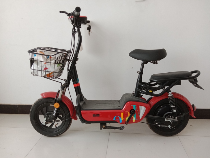 新蕾电动车,全新,新国标电动车,有大证,带...