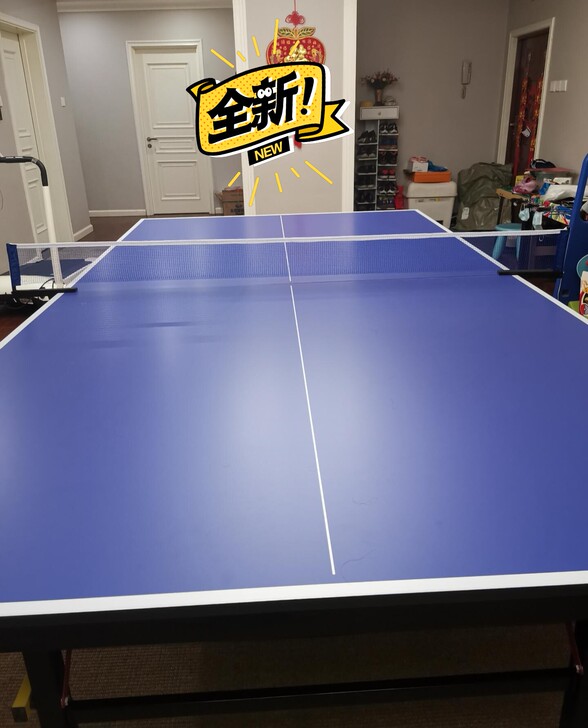 全新半价处理室内室外折叠乒乓球桌家用国际标...