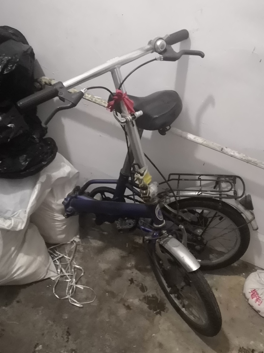 好像是进口品牌,雅自达折叠自行车铝圈