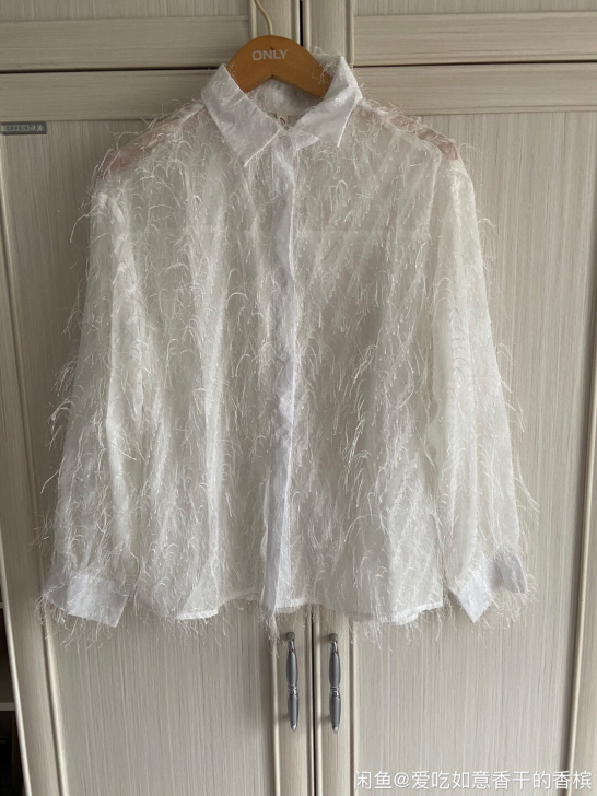 白色微透羽毛衬衣,全新,买了没穿过,建议1...