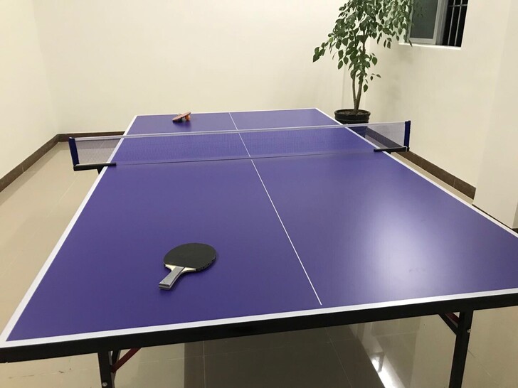 【半价处理】活动室多买了一批乒乓球桌球台特...