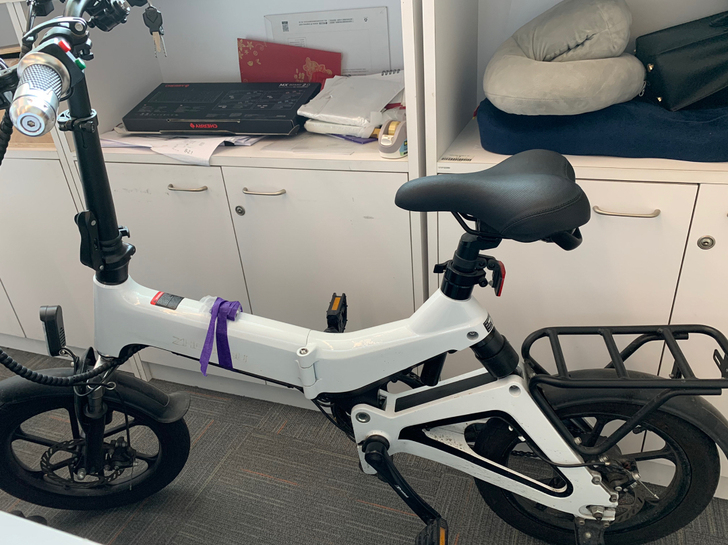 正步(ZB)S9 16寸新款智能折叠电动自...