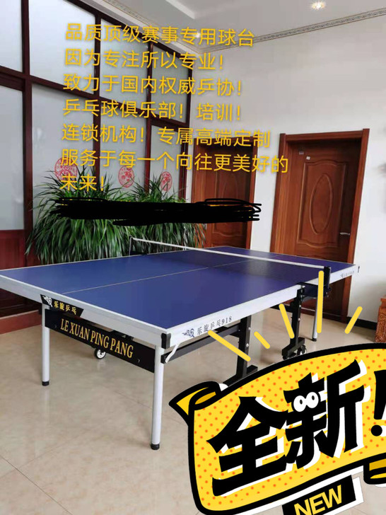 专业乒乓球台，价格实惠，送货到楼下，欢迎打...