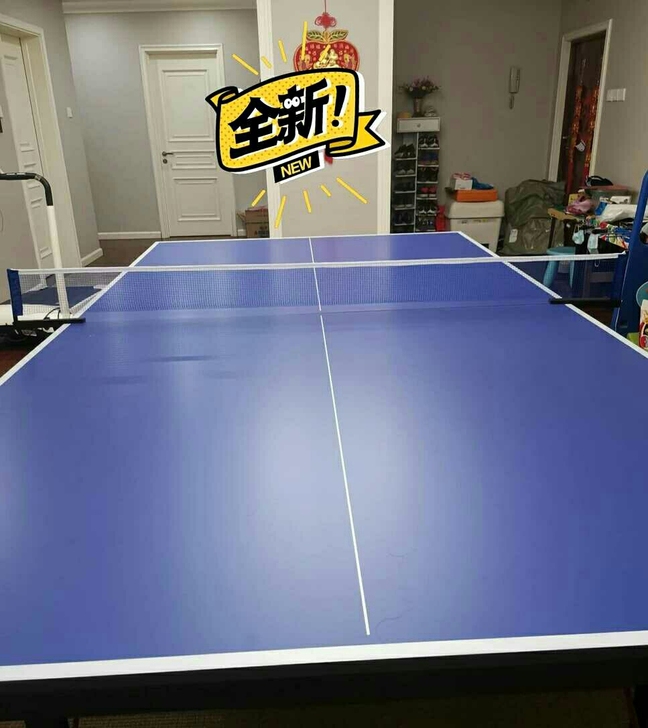 全新半价处理室内室外折叠乒乓球桌家用国际标...