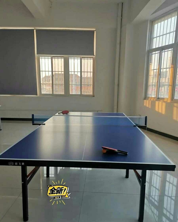 全新乒乓球桌便宜包邮处理可折叠国际标准