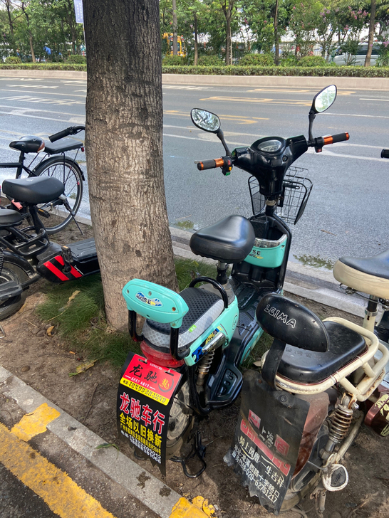 品牌型号 龙驰电动车