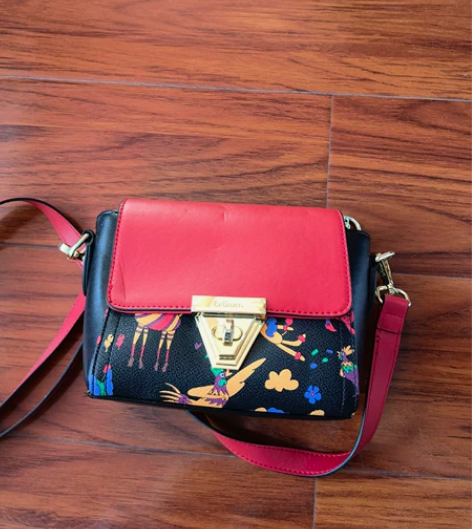 媳妇买的包包,不莱玫牌的,8成新, 感兴趣...