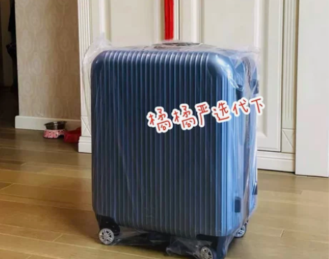 网易严选 20寸纯PC拉链拉杆箱 登… 尺...