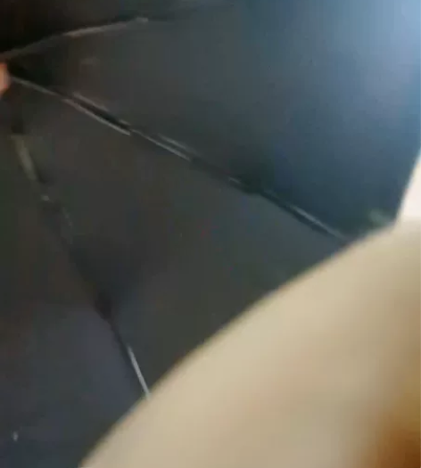 闲置晴雨伞,南宁多雨,断舍离清闲置! 白色...