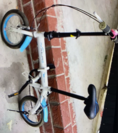 大行（菲利普）自行车。14寸折叠自行车，极...