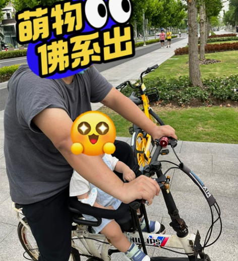 菲利普 PHILLIPS 折叠自行车； 2...
