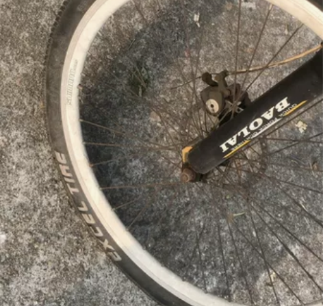 菲利普、宝来14速双碟刹全车铝合金山地车，...