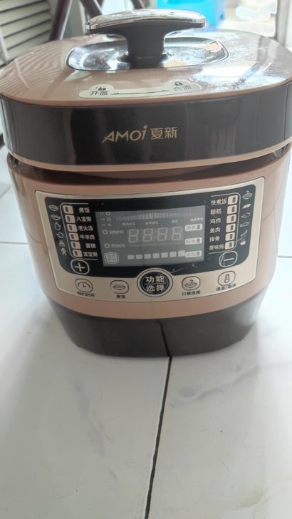 电压力锅 5L容积的 一家几口够用的