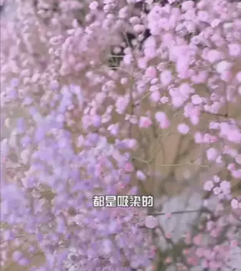 满天星花束干花室内客厅装饰花桌面摆件插花永...