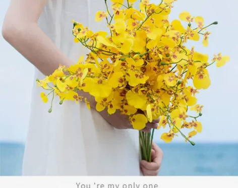 蝴蝶兰仿真花假花客厅摆件餐桌花插花装饰塑料...