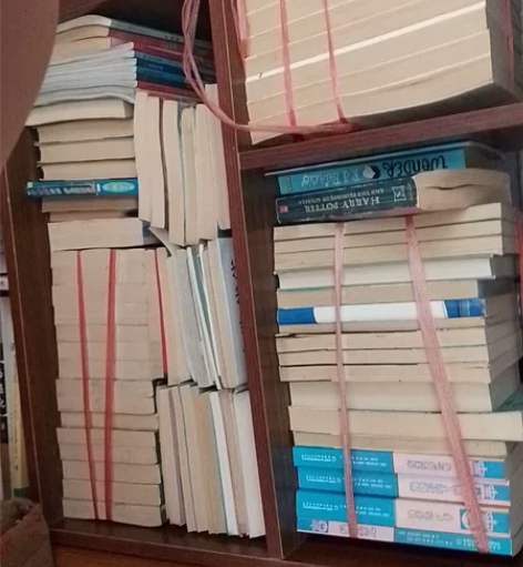图书盲盒 两本  初中必读书目宇宙简史青少...