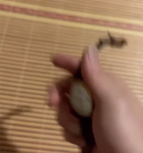 天王正品简约休闲气质石英腕表男女情侣手表皮...
