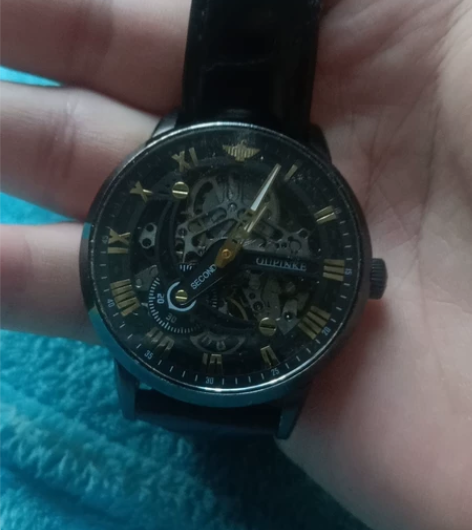 瑞士认证欧品客（OUPINKE）手表男机械...