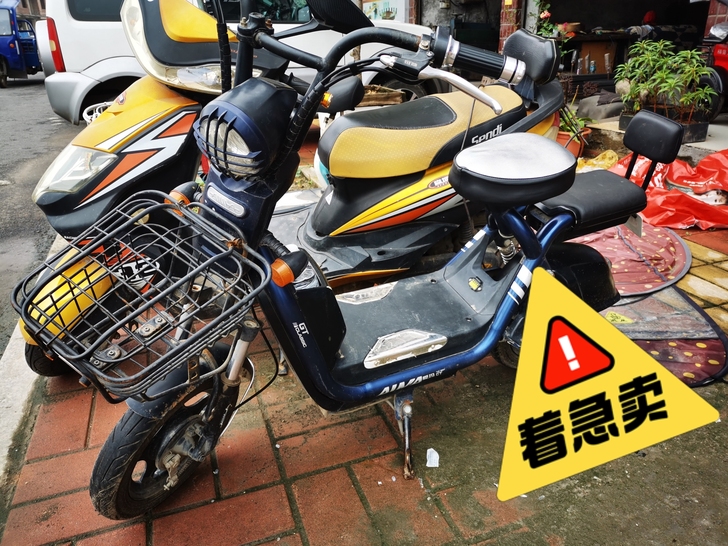 爱玛品牌电动车，4块大电瓶，48v，20A...