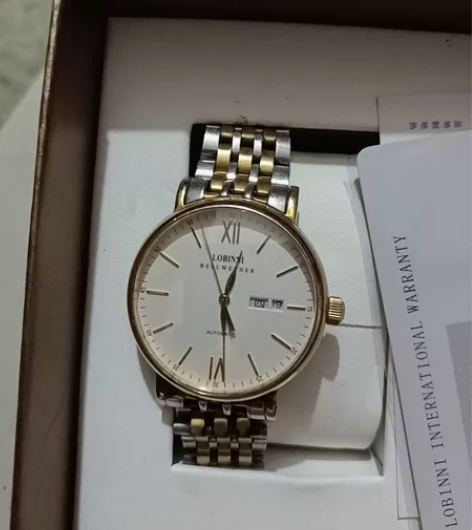 罗宾尼品牌正品新款 手表男全自动机械表防水...