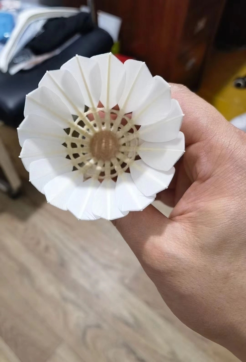 原胜利代工厂高性价比鹅毛羽毛球