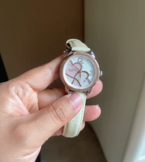 飞亚达专柜正品女款机械手表 专柜买的，  ...