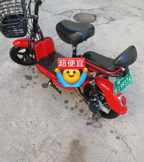 飞鸽电动车原装精品小车非常好用48付电池保...