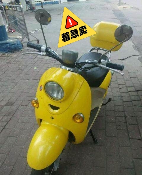 新日电动摩托车,自己用买了保险,品牌可小刀...